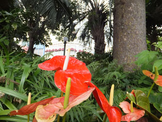 Flower153