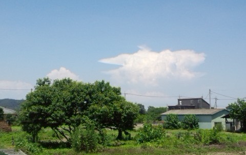 入道雲（20130708）.jpg