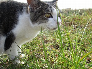 IMG_6567ss.jpg