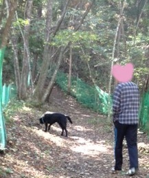 20121025l.JPG