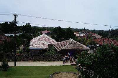 DSC03151.jpg