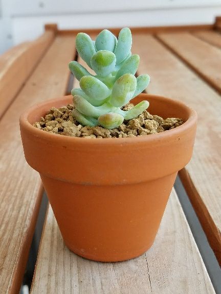 rblog-20180430124221-04.jpg