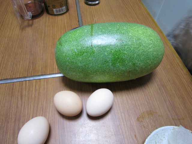 20120911冬瓜.jpg