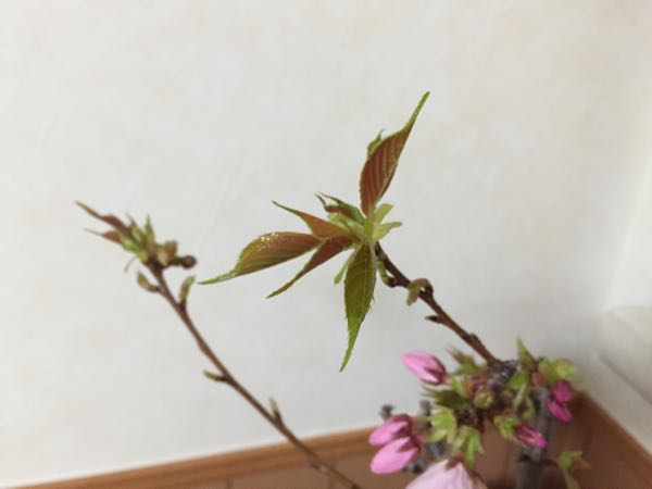 rblog-20160323180234-01.jpg