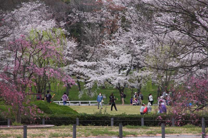 万博記念公園_009自然文化園.jpg