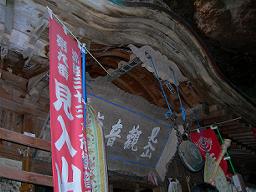 DSCN5864-w256.jpg