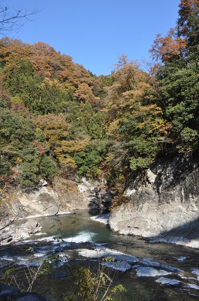 荒川キャンプ場