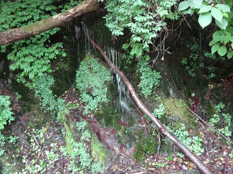 DSC06220.JPG