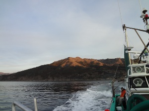 DSC02768.JPG
