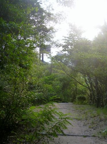 013 (372x500).jpg