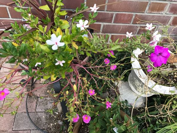 rblog-20170926173506-02.jpg