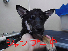 conv0727.JPG
