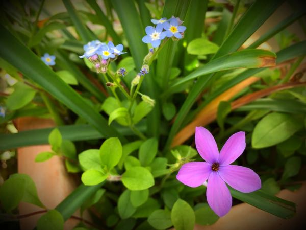 rblog-20150430203917-04.jpg