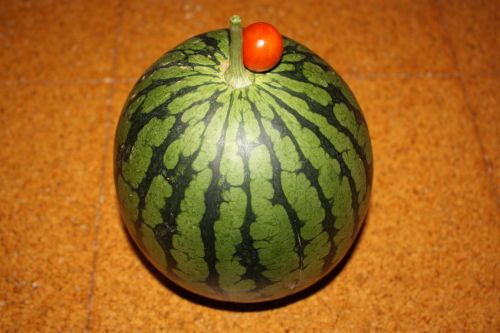 2015071602.JPG