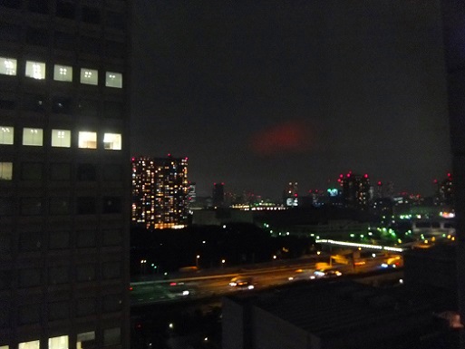 お台場の夜.jpg
