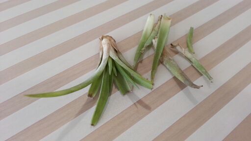 rblog-20140618155432-00.jpg
