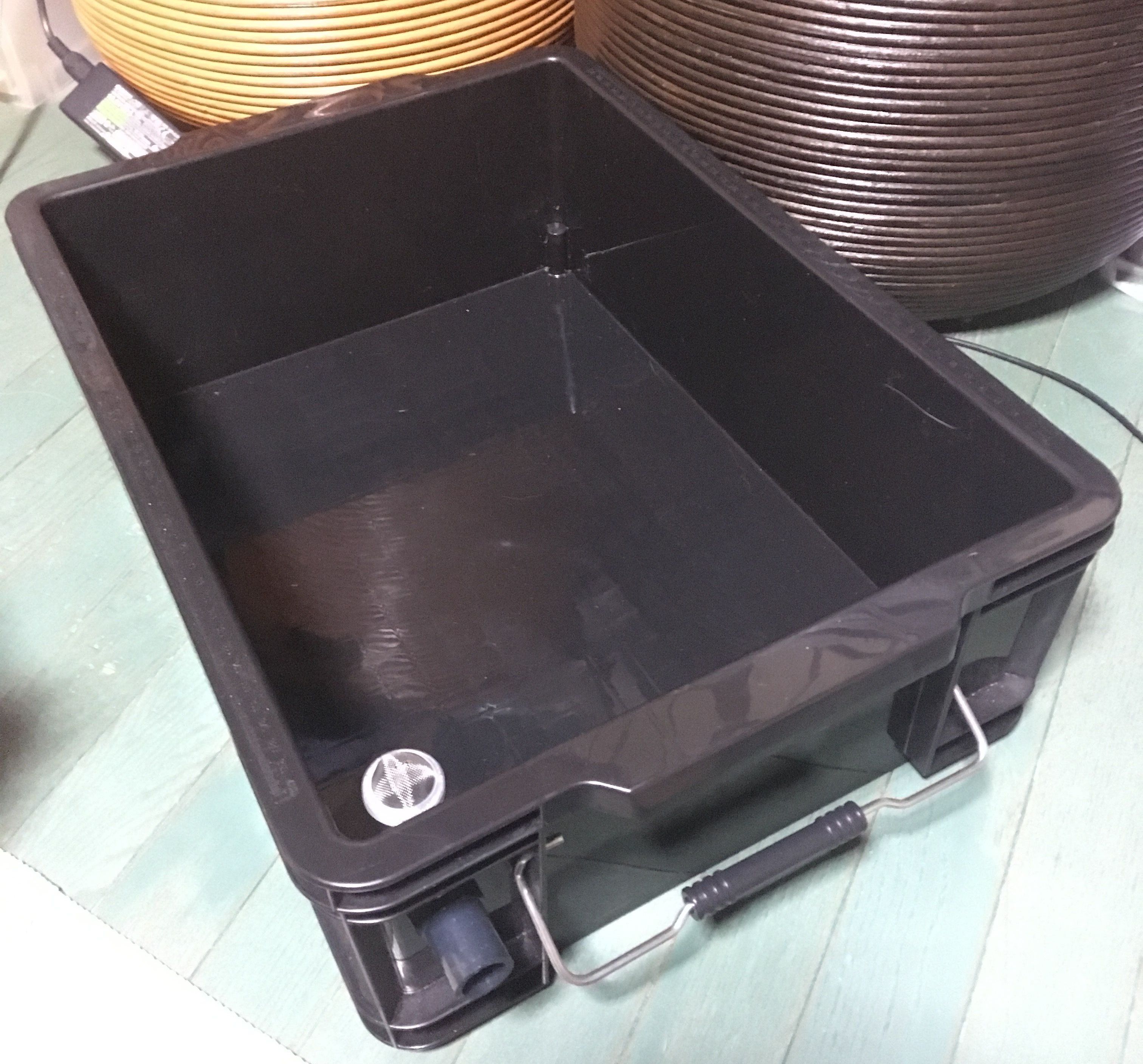 春に向けて ろっくとメダカと時々gorilla Doberman 楽天ブログ