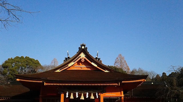 16452683_2037277650_47large.jpg