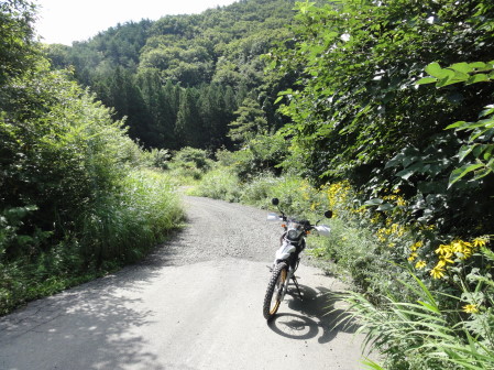 日山源田林道終点