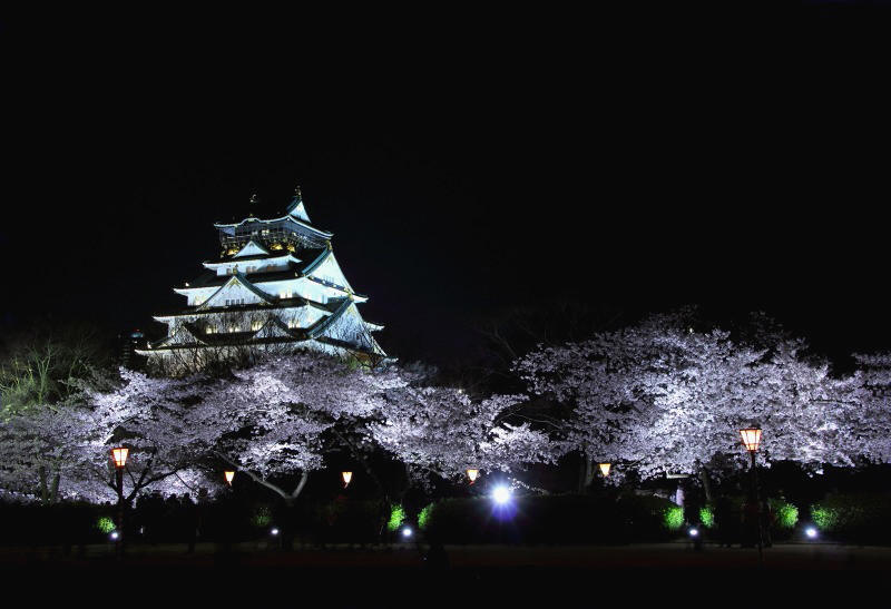 大阪城西の丸庭園夜桜_5-1.jpg