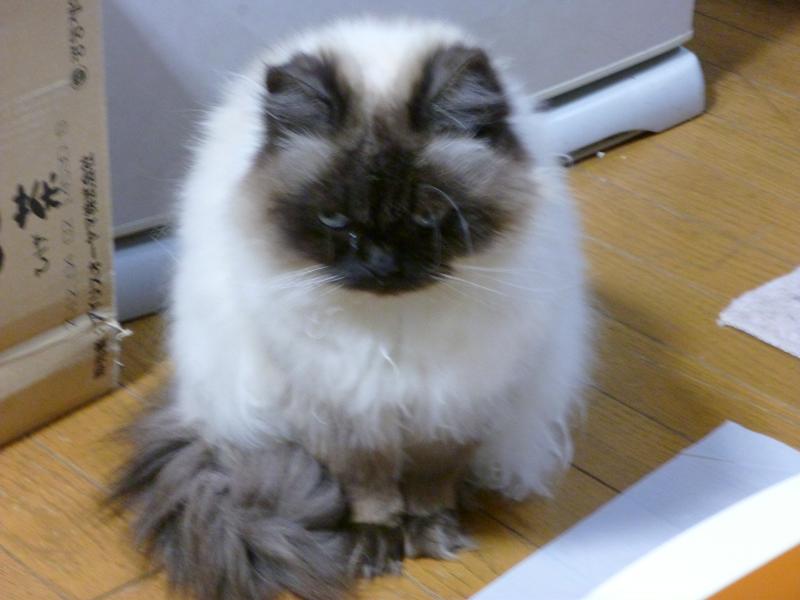 画像 3030.jpg