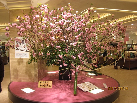 お家元　迎え花