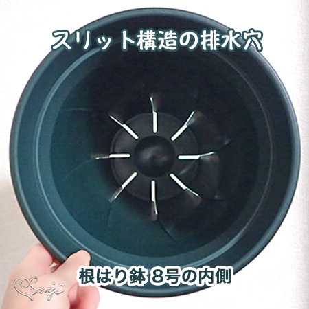 根はり鉢のスリット構造の排水穴