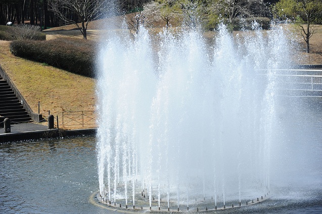 2013.3.22 014.JPG