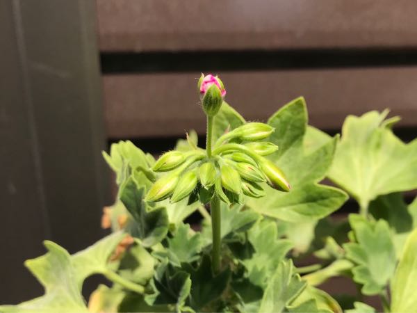 rblog-20190423181829-09.jpg