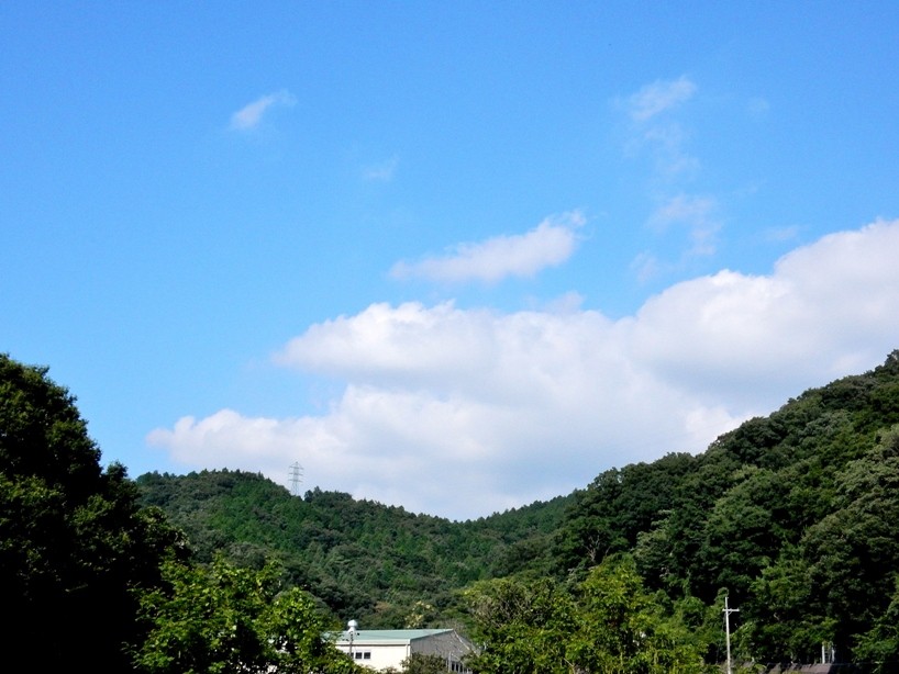 空3.JPG