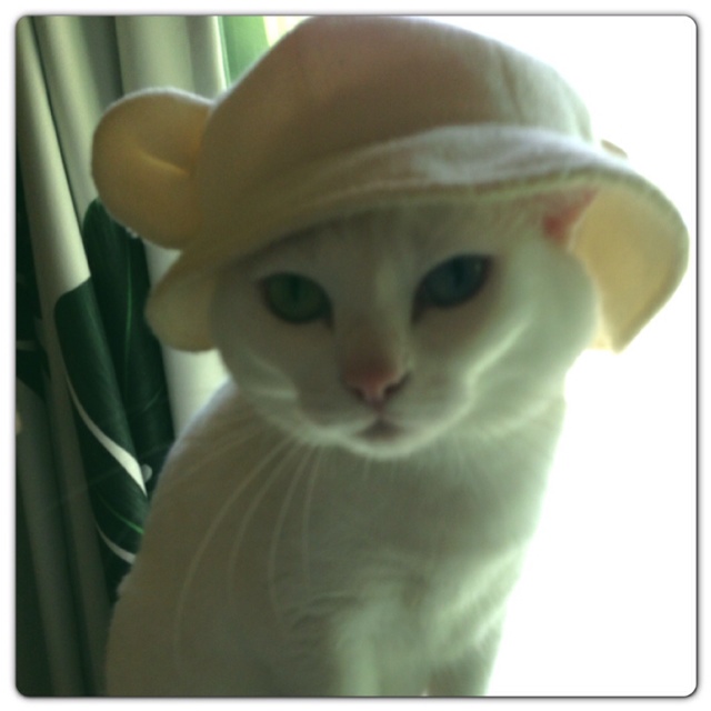 rblog-20130518112046-00.jpg