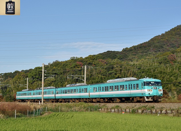 SG005 117系 2014.11.16　2.jpg