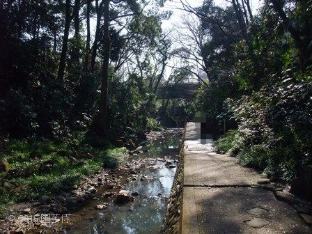 等々力峡谷　20150215-2