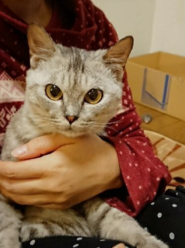 rblog-20181204221340-00.jpg