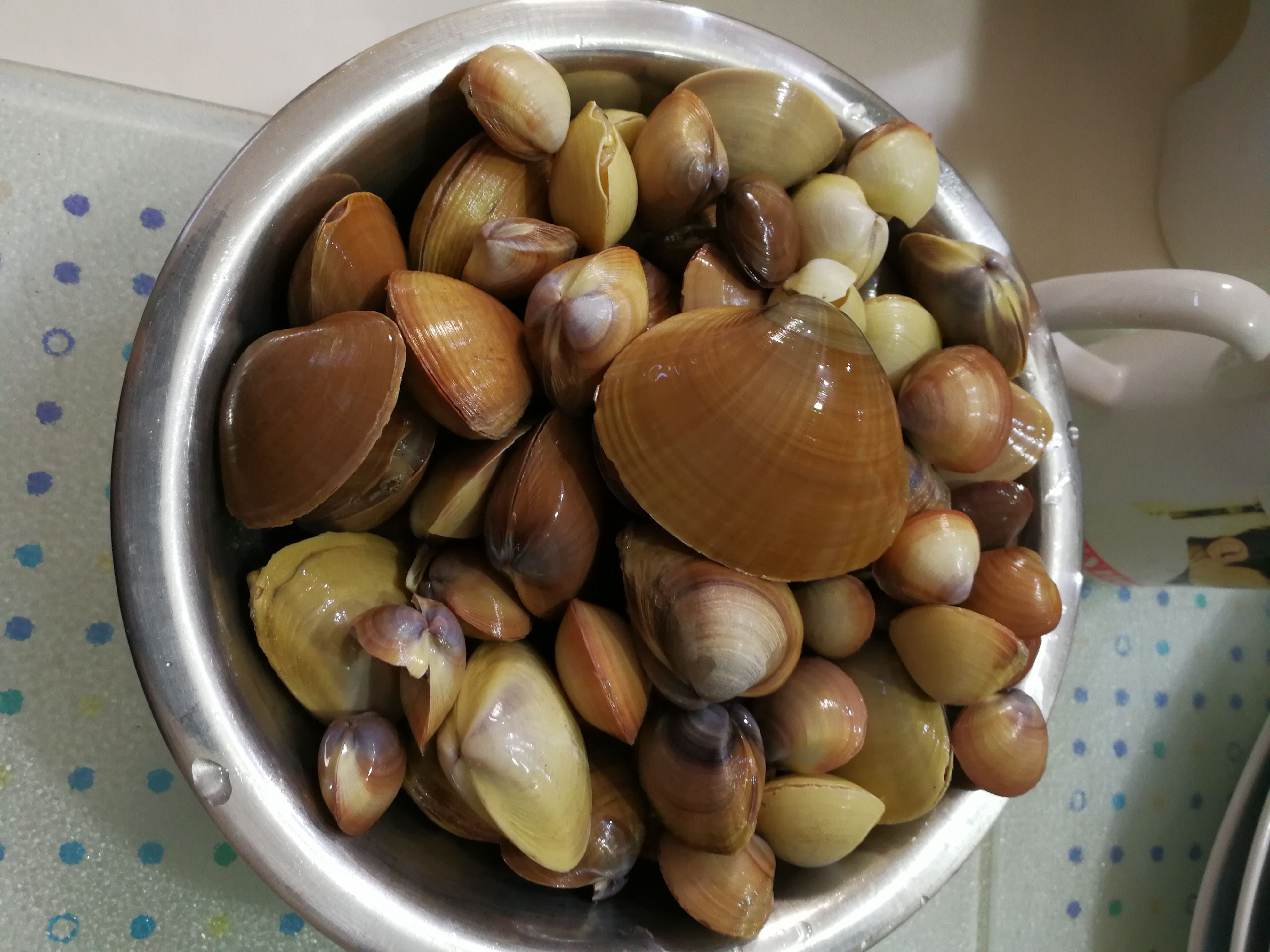 潮干狩り 自己流diyの部屋 楽天ブログ