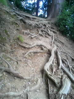 山頂へ向かう道