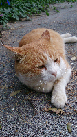 rblog-20131102220848-01.png