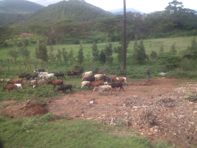 rblog-20130617085752-01.jpg