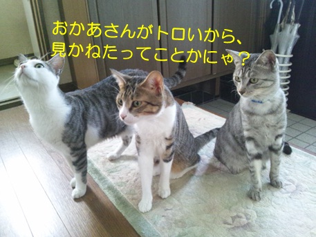 20120812_2.jpg