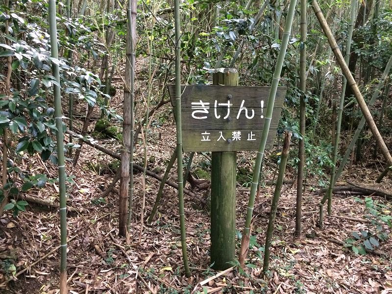 2017/7/17 仏経山登山、山キャンプごっこ！ | とめの遊びのネタ(島根より愛をこめて～ キャンプ、登山) - 楽天ブログ