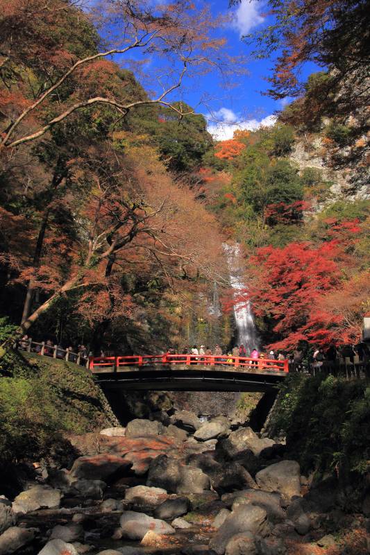 残り紅葉と大滝_007.jpg
