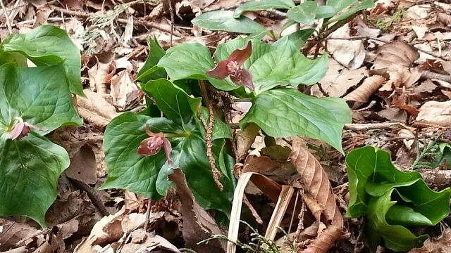 rblog-20141211231952-02.jpg