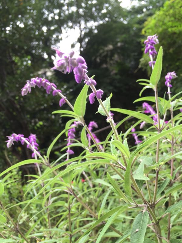 rblog-20160927182319-01.jpg