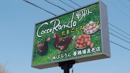 鶏卵人（こっこらんど）看板