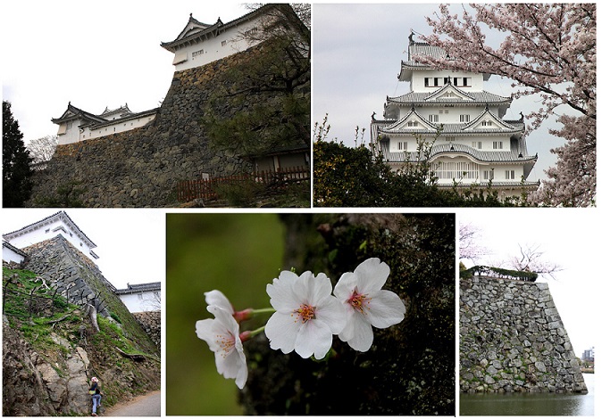 姫路城と桜ー５.jpg