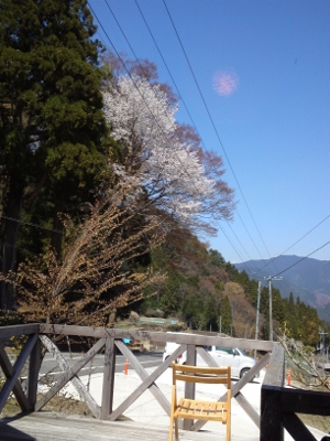 SN3S0013 (300x400).jpg