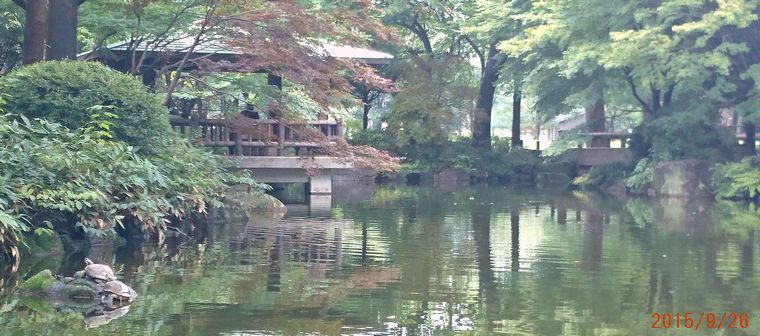 ９／２６井草森公園の池.jpg