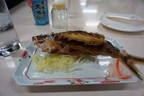 グルくん唐揚げ.JPG