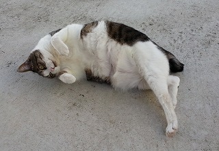 2015-04-18 08.50.36-ass.jpg