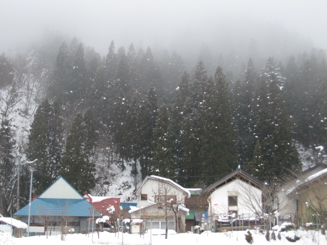 IMG_0001 - コピー (26).JPG